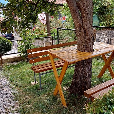 Mini Hill Διαμέρισμα Σαράγεβο Εξωτερικό φωτογραφία